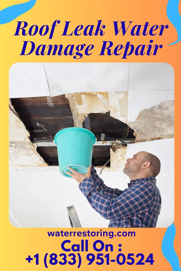 Roof Leak Water Damage Repair in Mount Orab, OH