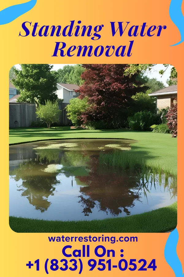 Standing Water Removal in Mount Orab, OH